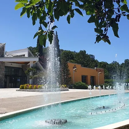 Palahotel Vallenoce 4* Decollatura