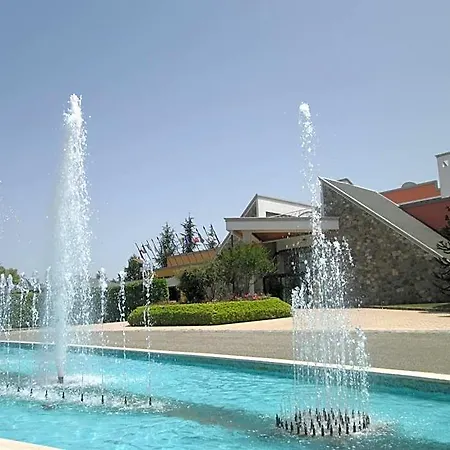 Hotel Palahotel Vallenoce 4*