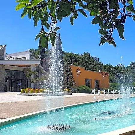 Palahotel Vallenoce 4*